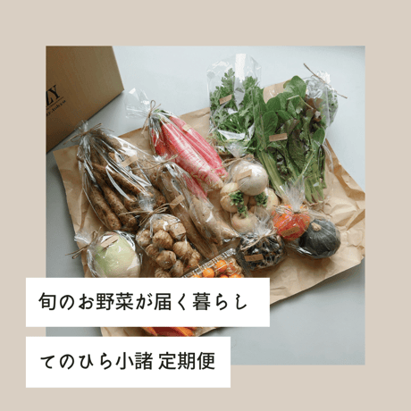 てのひら小諸  Mサイズ 定期便
