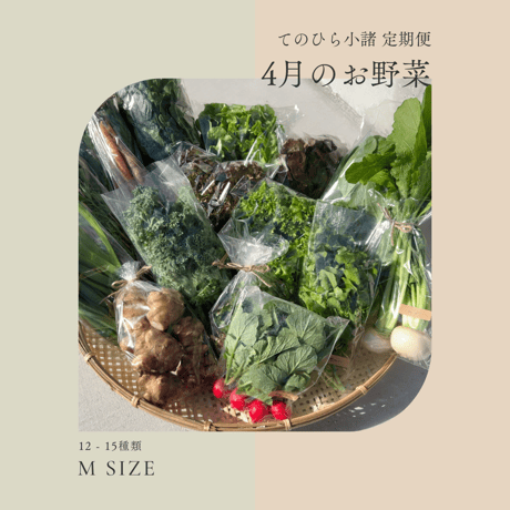 てのひら小諸  Mサイズ 定期便