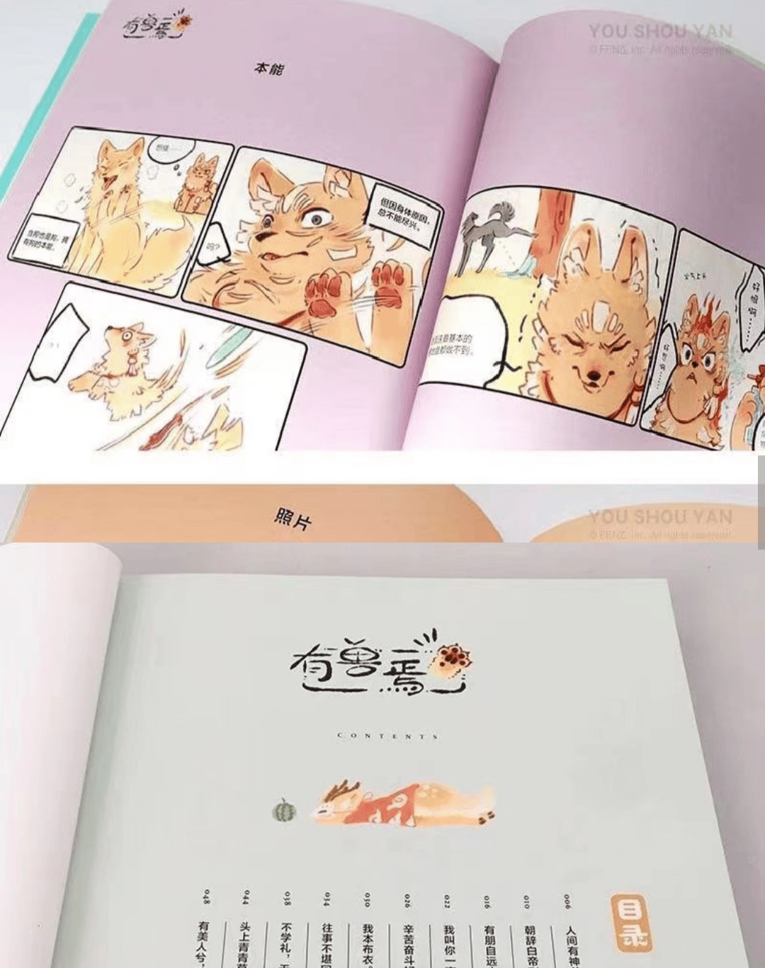 有兽焉（獣あらんや）全5冊 | 中国書籍・中国語テキスト 華 -hana-