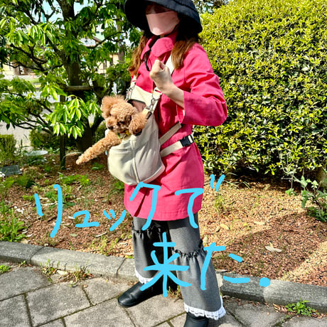 小型犬用キャリーバッグ・合皮サンプル