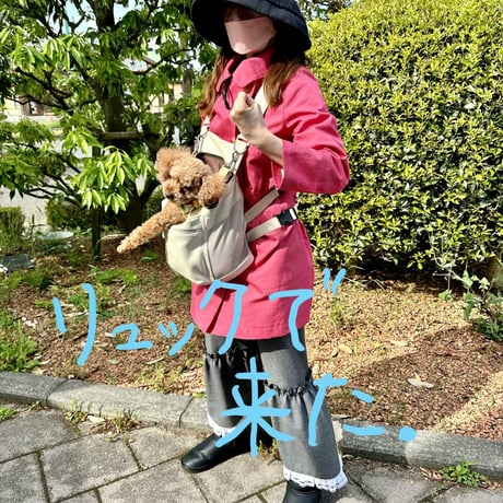 小型犬用キャリーバッグ・本革サンプル