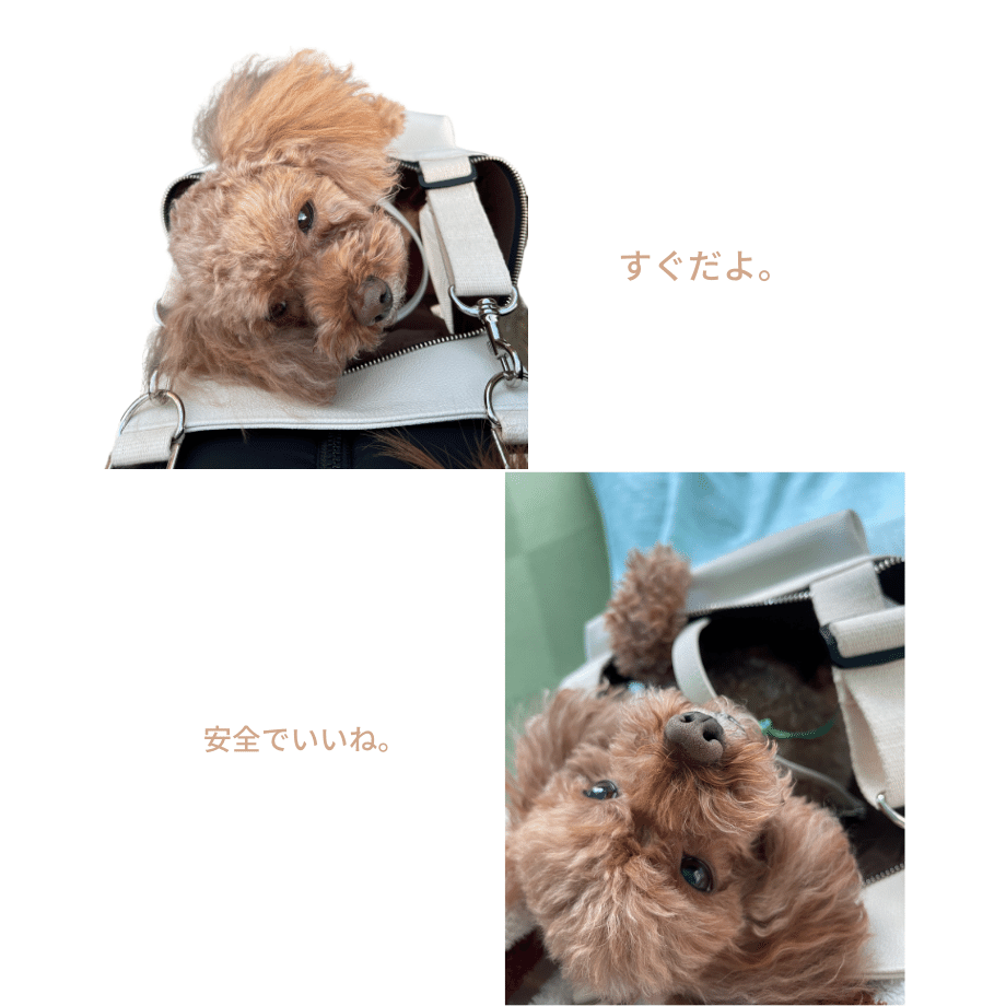 61fe339cacbcb057c6336f41