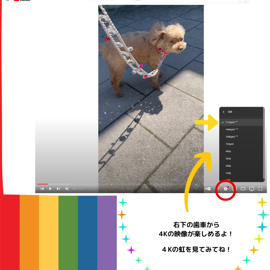 64c383f375fe89003ba8ce48