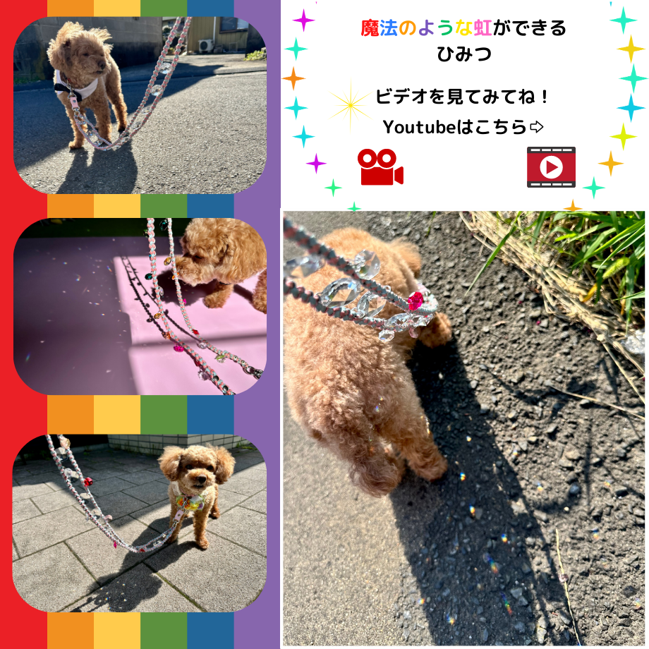 64c383f375fe89003ba8ce48