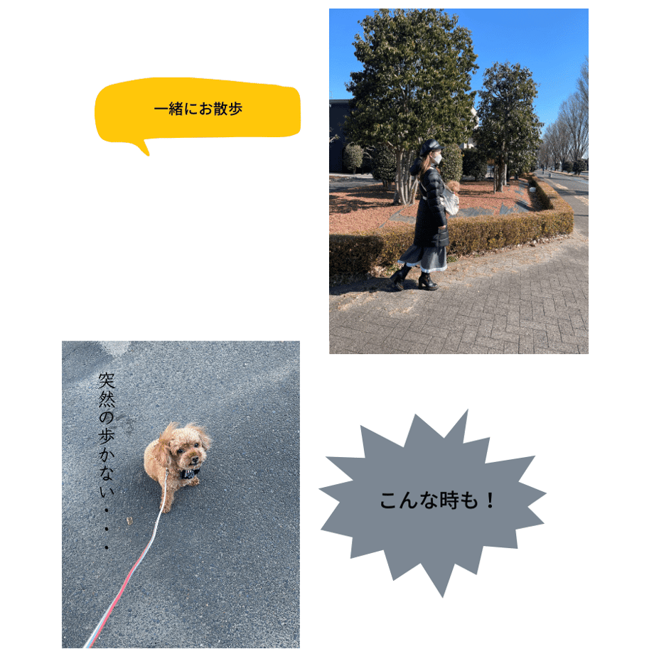 61fe339cacbcb057c6336f41
