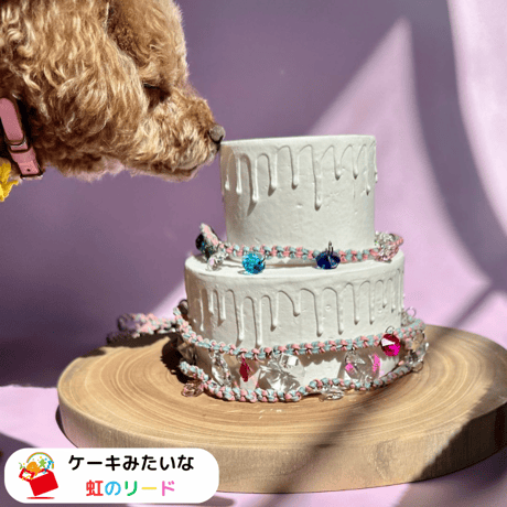 🎂ケーキのデコレーションのようなリード🎂─強力な虹ができるダブルタイプ─