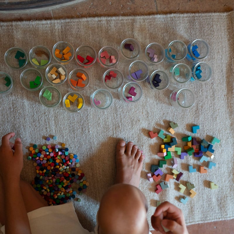 予約販売》ミスマッチ&ブルーム【GRAPAT】 | 季と木