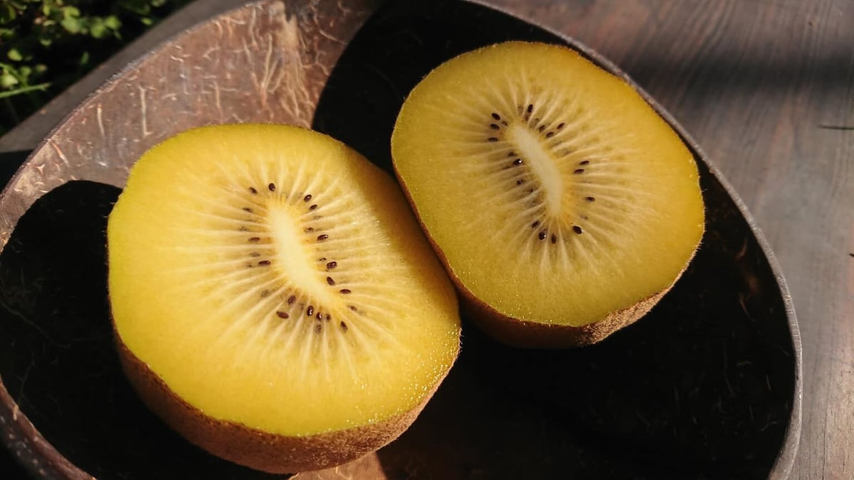 甘いキウイ 特大サイズ20玉 甘さと食べ応えたっぷり、特大サイズ