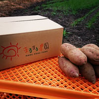 【数量限定】完熟さつまいも2種詰合せ1箱(約3kg)紅はるか、安納芋