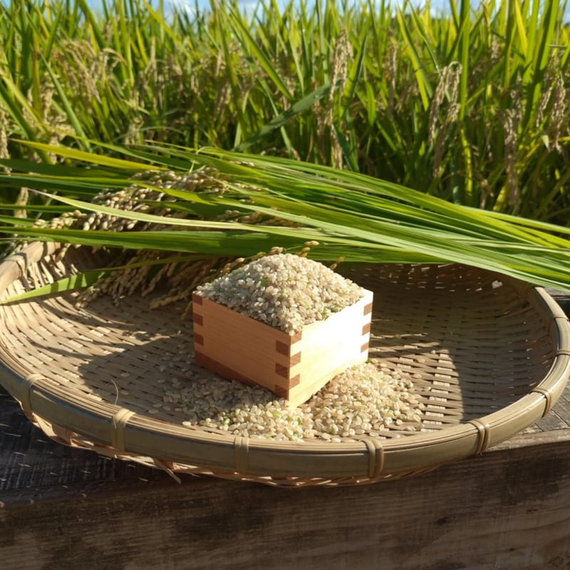 まるまる農園にこまる】玄米(令和7年新米) | まるまる農園