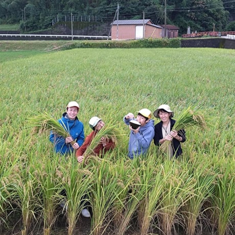 【まるまる農園にこまる】白米(令和8年新米) ※準備中