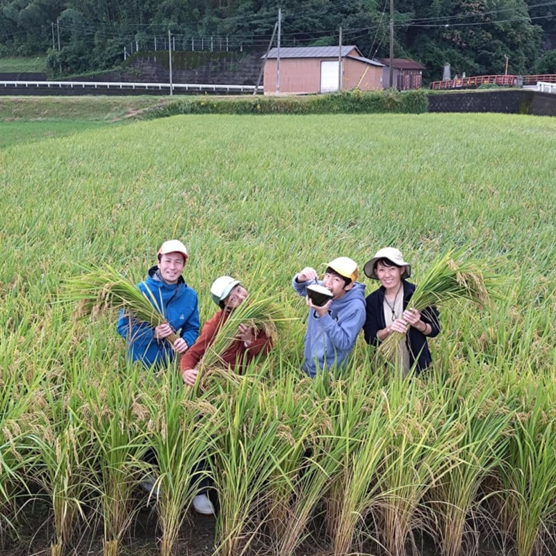 令和7年産 新米にこまる おすそ分け にこまる 令和7年 新米🌾 和歌山県産 ｜ 米・穀物/米/精米 産直アウル