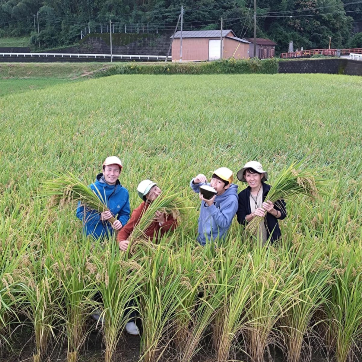 えこまる農園様、専用出品 まるまる農園にこまる】白米(令和7年新米) | まるまる農園