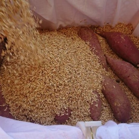 【数量限定】完熟さつまいも3種詰合せ1箱(約3kg) シルクスイート、安納芋、紅はるか