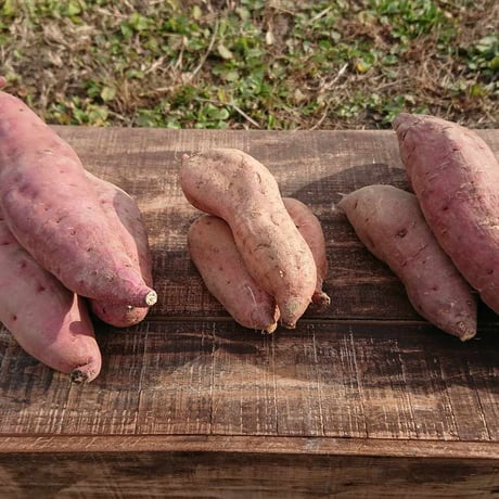 【数量限定】完熟さつまいも3種詰合せ1箱(約3kg) シルクスイート、安納芋、紅はるか
