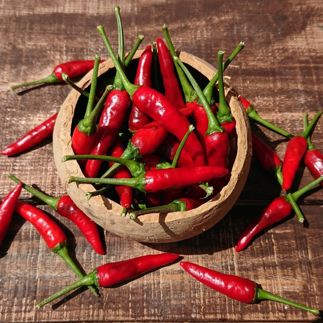 幻の唐辛子】香川本鷹フレッシュ(赤) | まるまる農園
