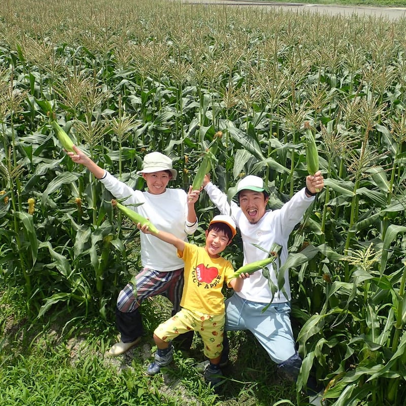 朝どれトウコロモシ4箱(32～44本) | まるまる農園