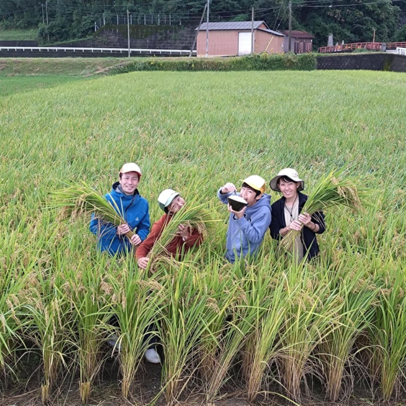 まるまる農園にこまる】玄米(令和7年新米) | まるまる農園