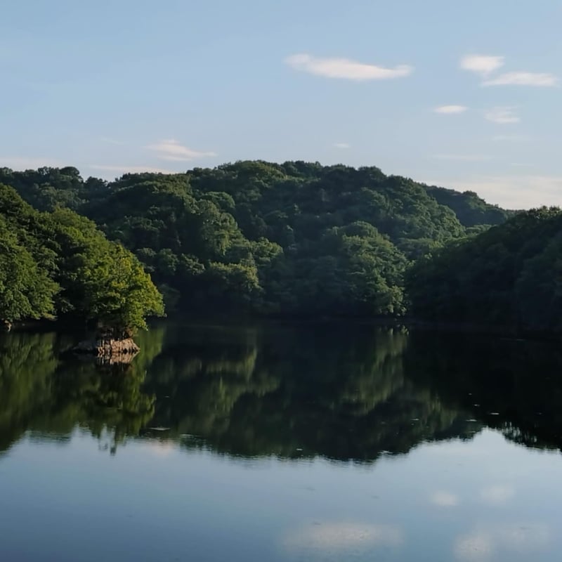 まるまる農園にこまる】白米(令和7年新米) | まるまる農園