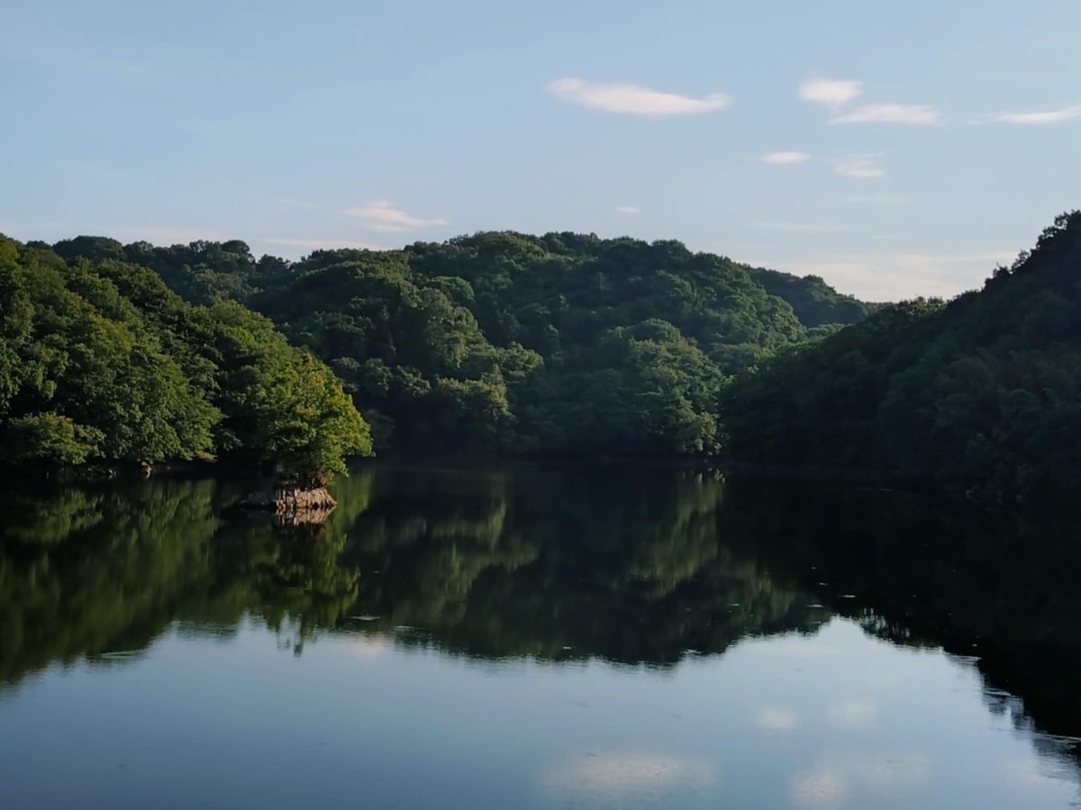 まるまる農園にこまる】白米(令和7年新米) | まるまる農園
