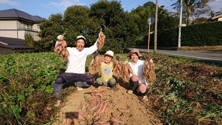 数量限定】完熟さつまいも3種詰合せ1箱(約3kg) シルクスイート、安納芋