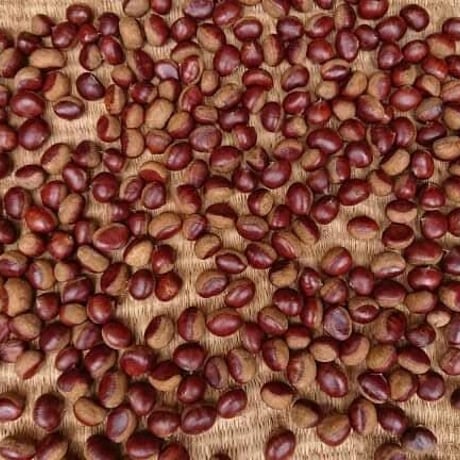 熟成栗(１ネット約500g)