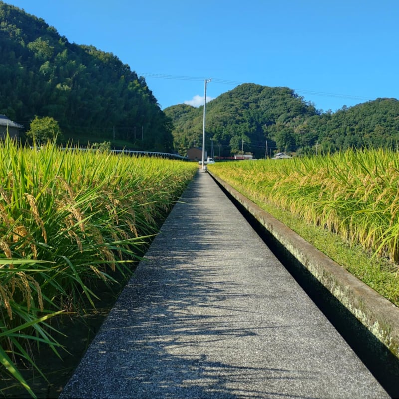 まるまる農園にこまる】白米(令和7年新米) | まるまる農園