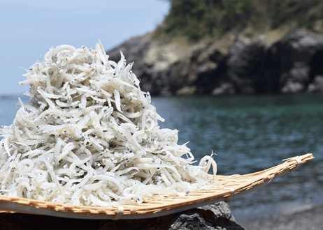 釜あげしらす(大分県産)