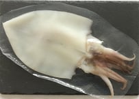 ケンサキイカの一夜干し　4番手(Lサイズ)
