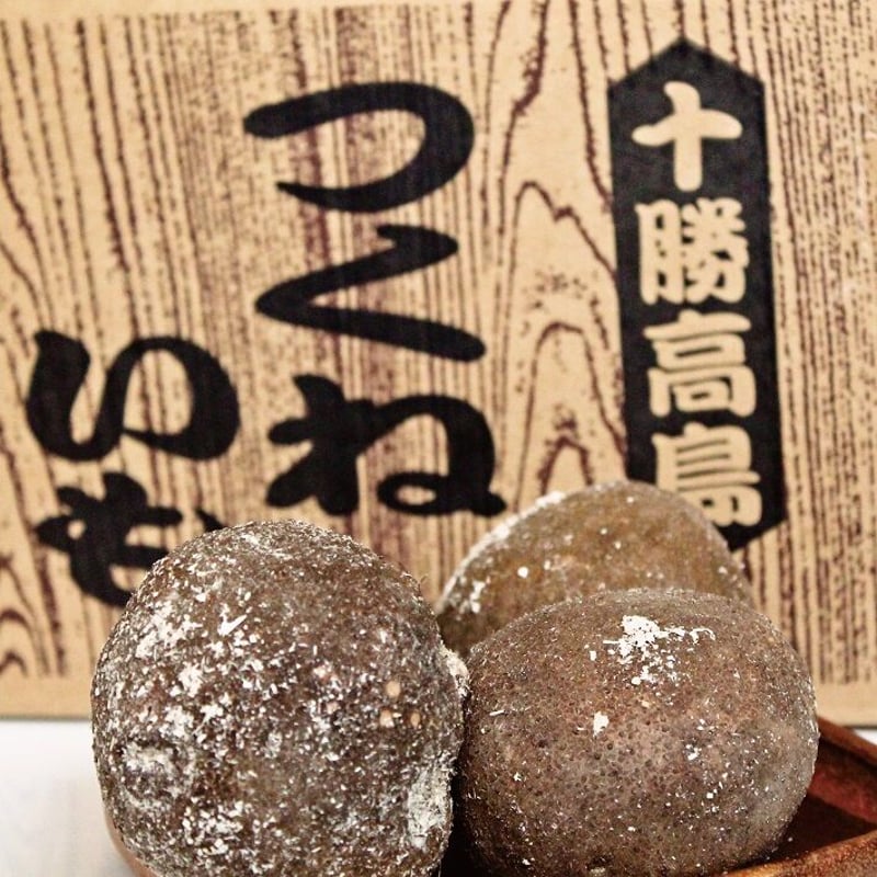 北海道十勝池田町高島産つくね芋【10kg】（秀・優混）【M～Lサイズ