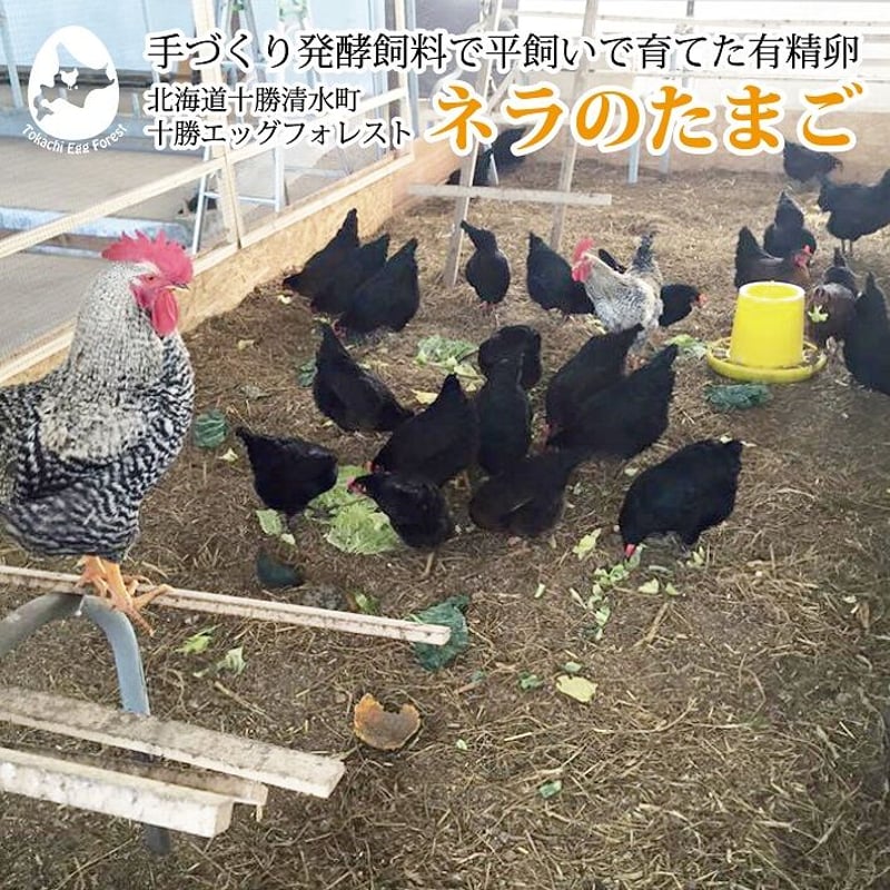 北海道十勝清水町産 ネラのたまご【10玉入2パック】 | とかち de グー