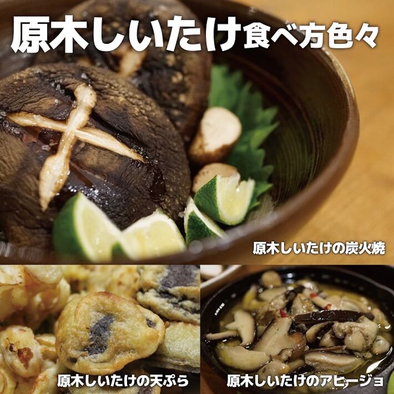北海道十勝新得町産原木しいたけ【特選Mサイズ1kg】 | とかち de グー