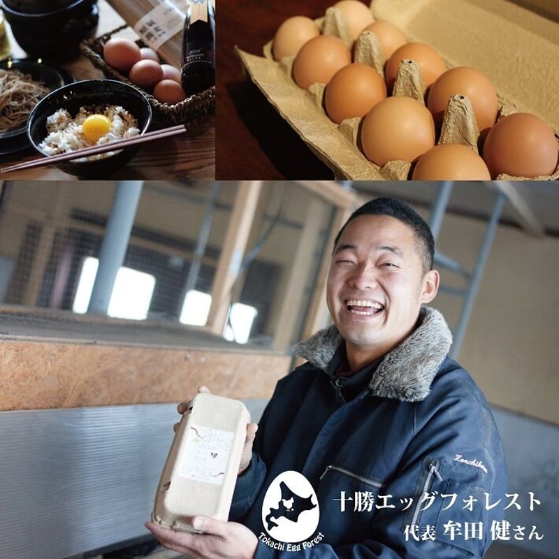 たま BANDAI バンダイ Tamagotchi Paradise - Jade Forest - ムラウチドットコム