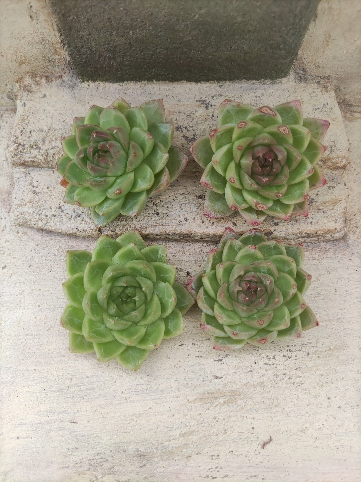 fit=scale-down,w=1200