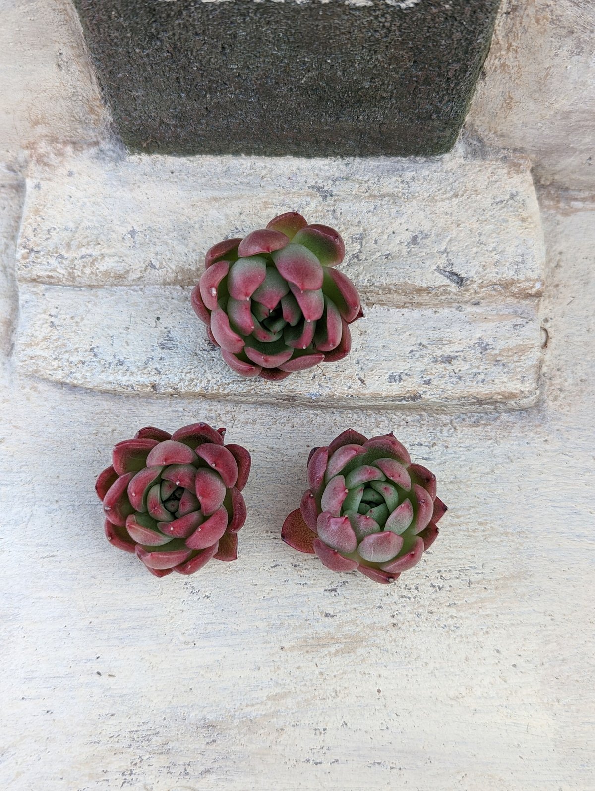 fit=scale-down,w=1200