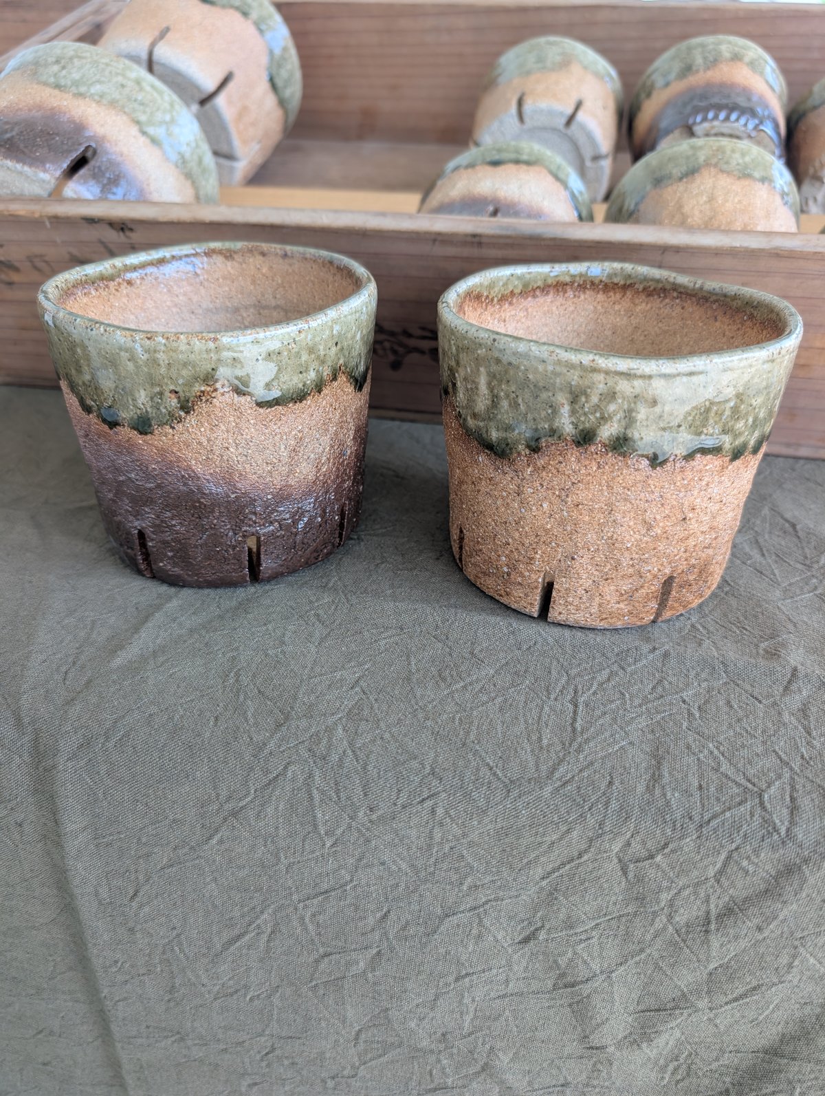 伊賀焼 オリジナルスリット入り陶器鉢 約3.5号 | 多肉植物カット苗の
