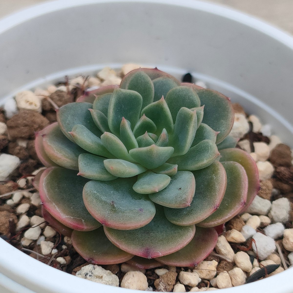 fit=scale-down,w=1200