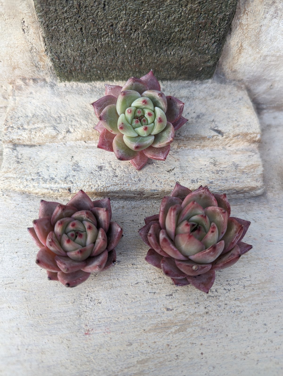 fit=scale-down,w=1200