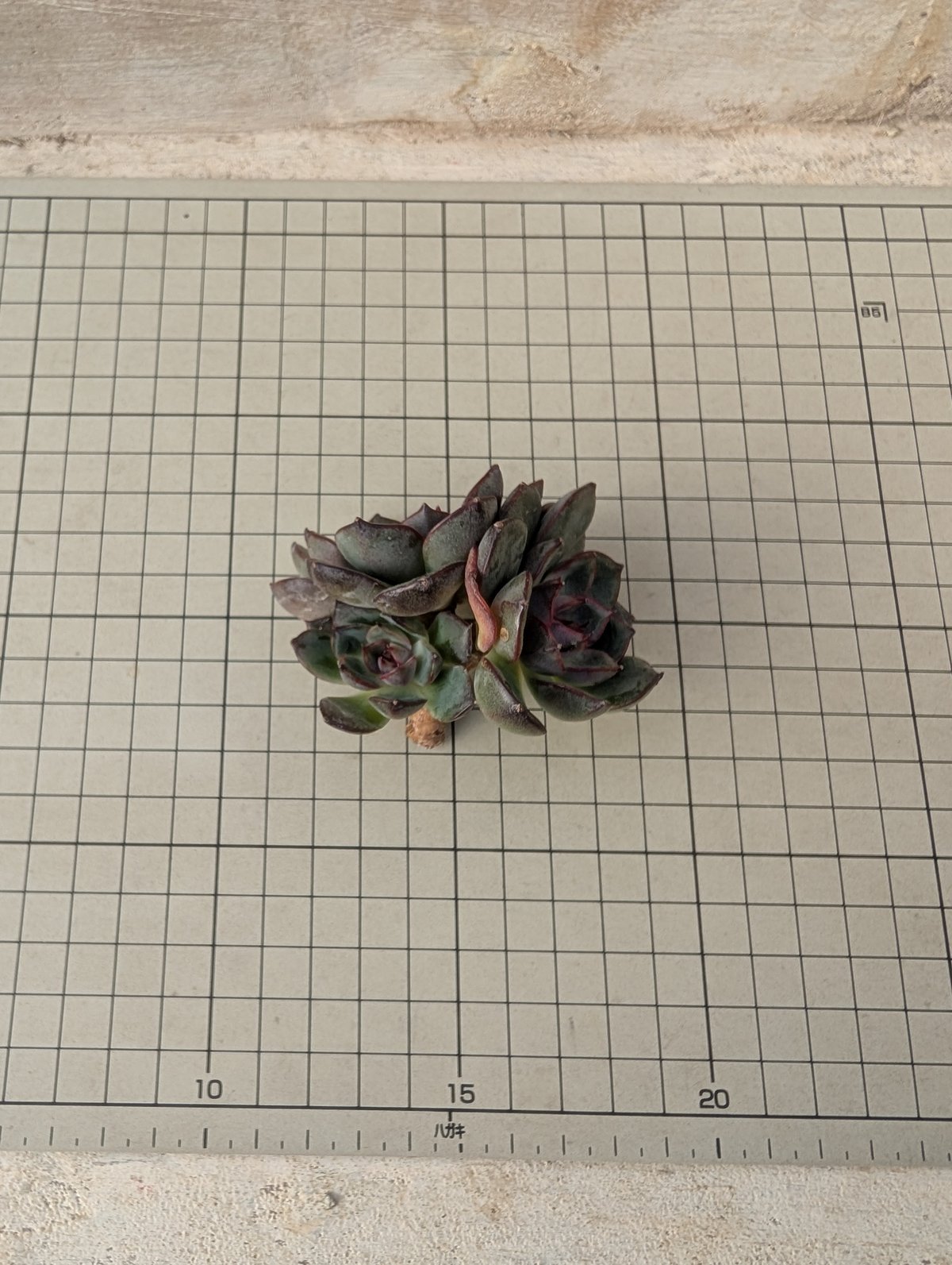 ヒロコーポレーション HT-7105V ブロワバキューム