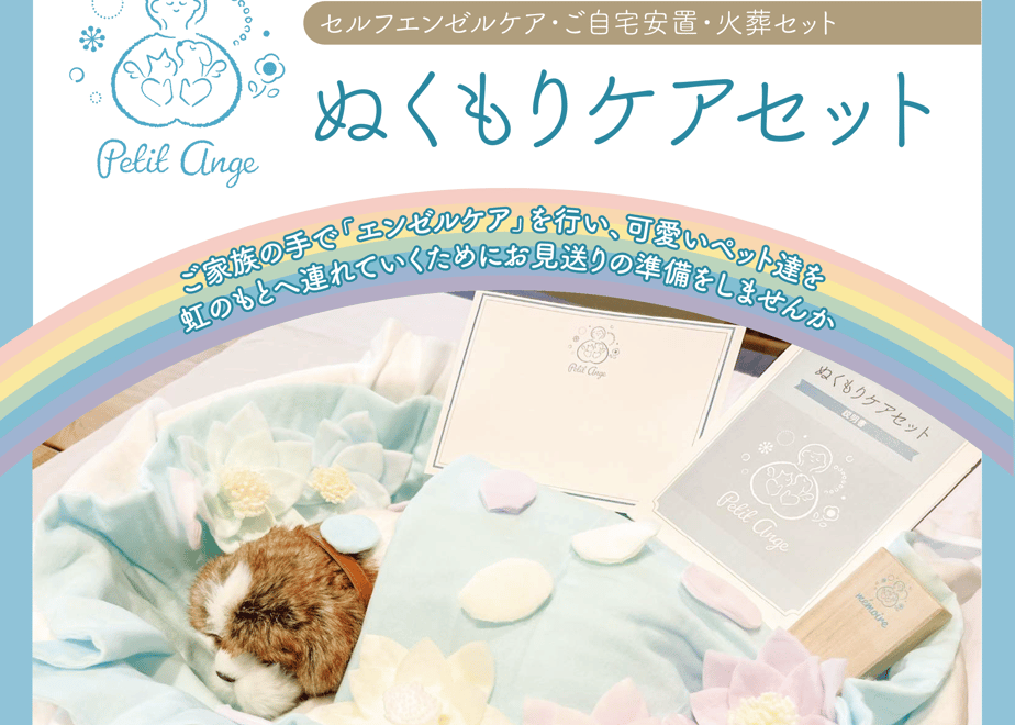 673e86fc1d75b60391ed57dc