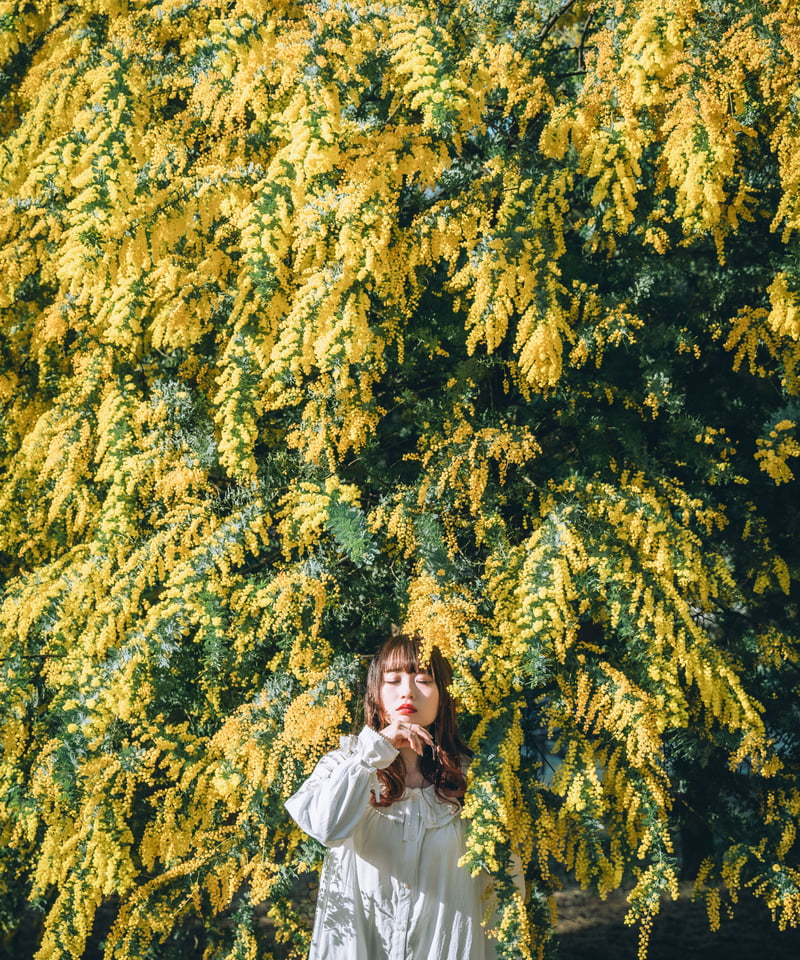 Lr Preset【Mimosa Classic】 | Mizüki's STORE