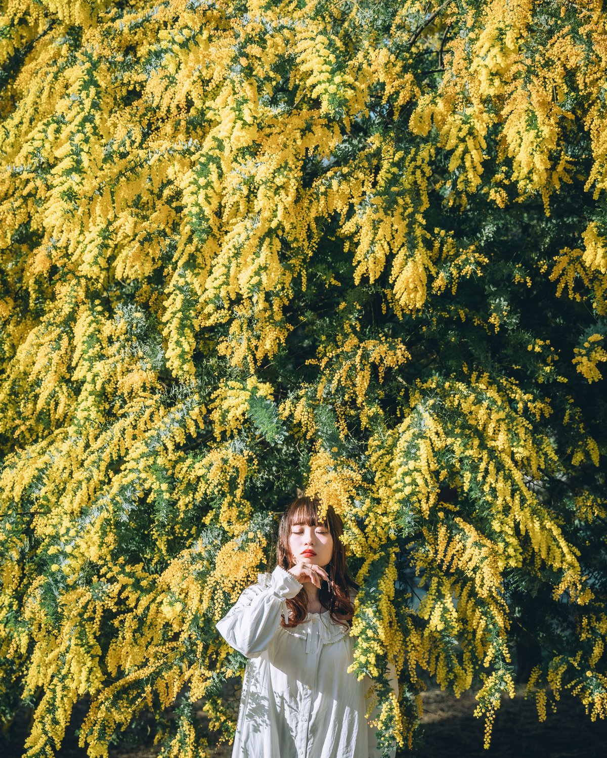 mimosa様 お買い直し用 Lr Preset【Mimosa Classic】 | Mizüki's STORE