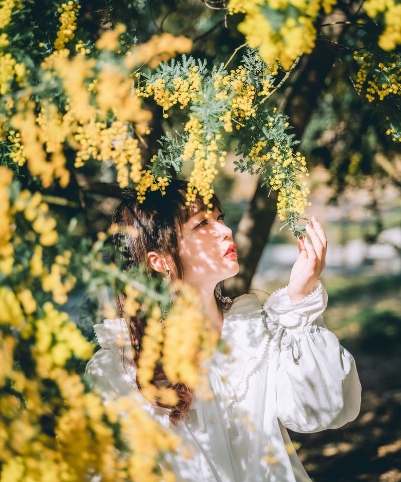 Lr Preset【Mimosa Classic】 | Mizüki's STORE