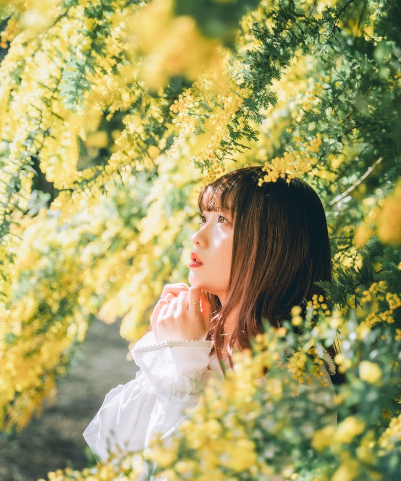 Lr Preset【Mimosa Classic】 | Mizüki's STORE