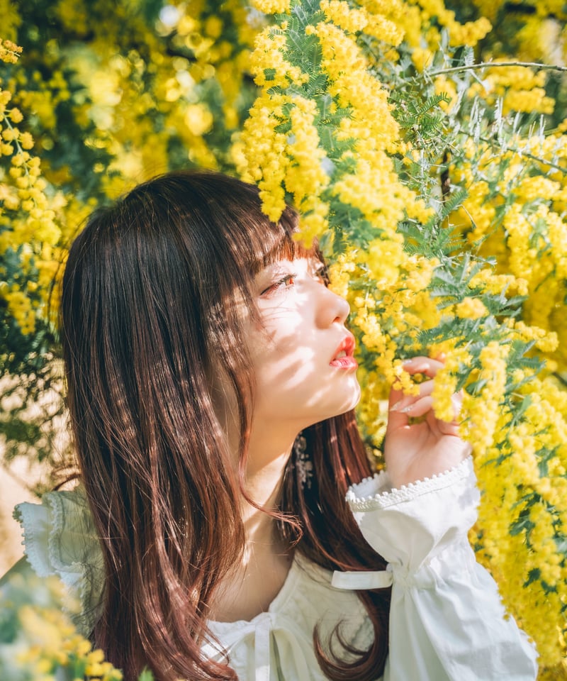 Lr Preset【Mimosa Classic】 | Mizüki's STORE