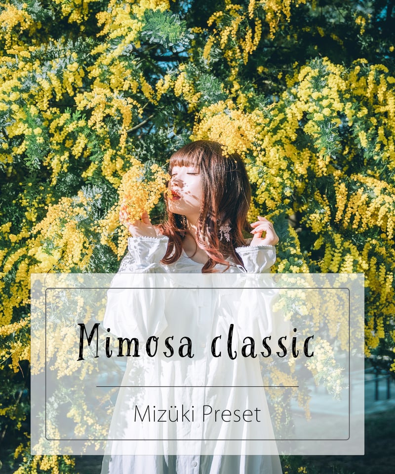 Lr Preset【Mimosa Classic】 | Mizüki's STORE