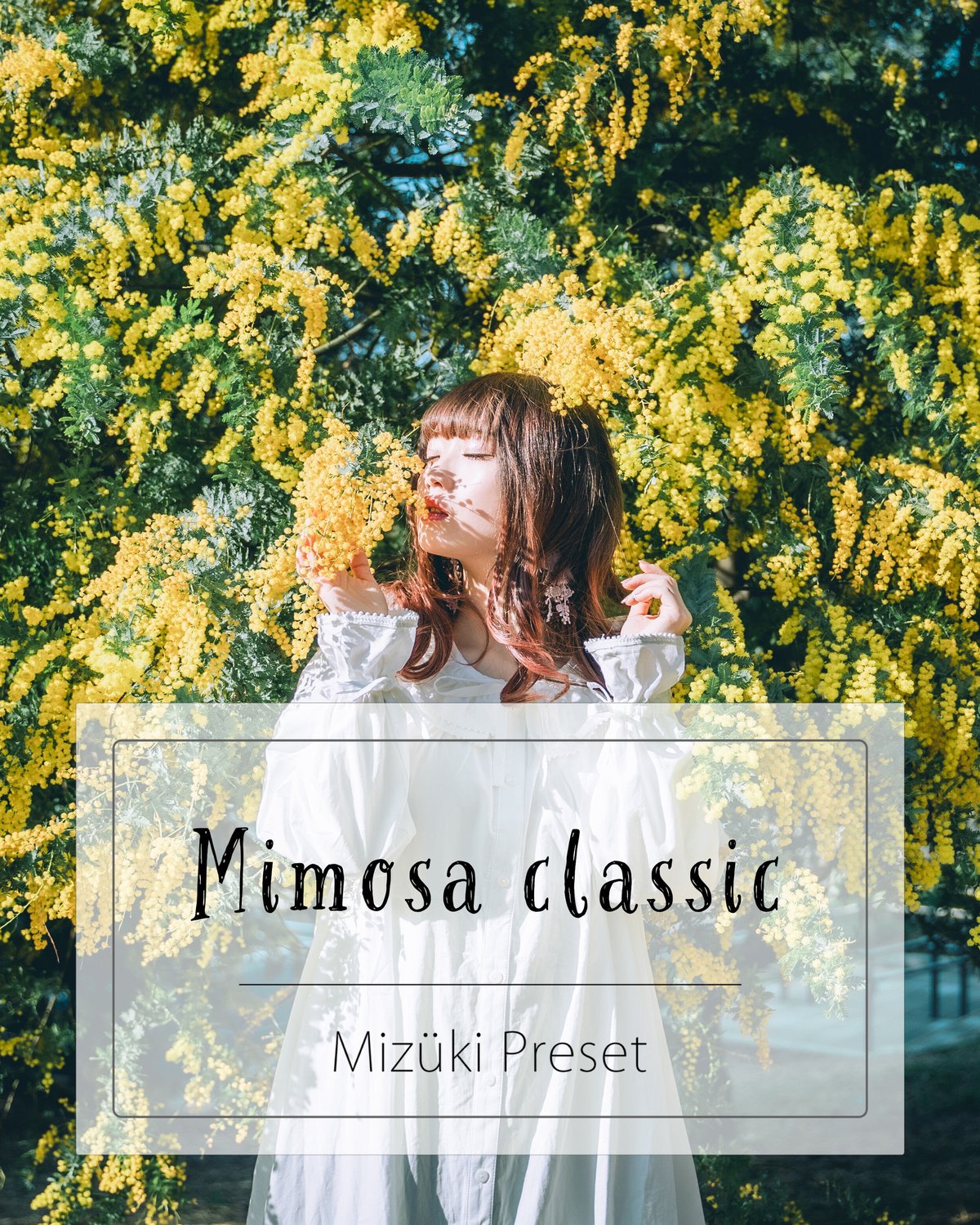 Lr Preset【Mimosa Classic】 | Mizüki's STORE