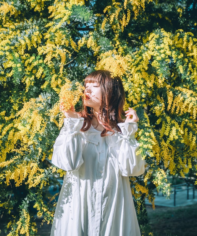Lr Preset【Mimosa Classic】 | Mizüki's STORE