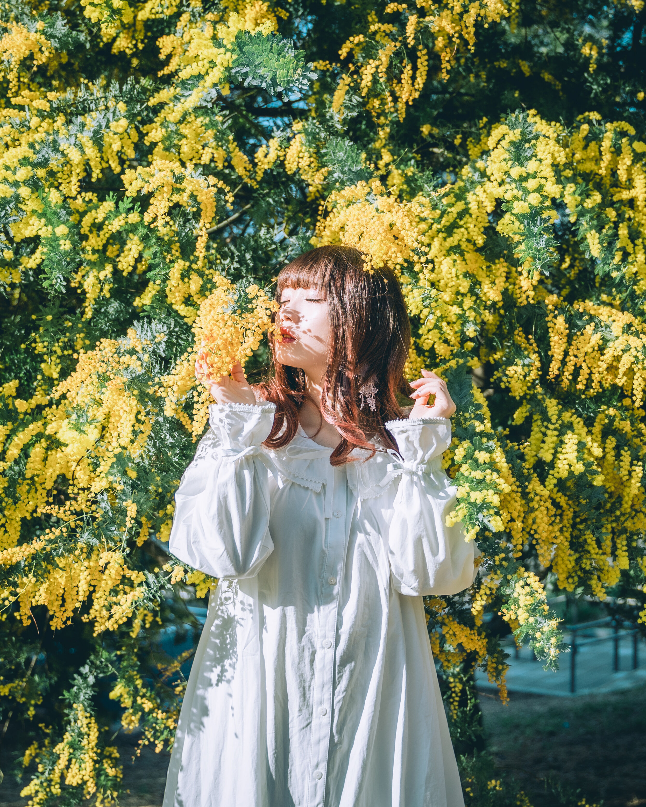 mimosa様 お買い直し用 original