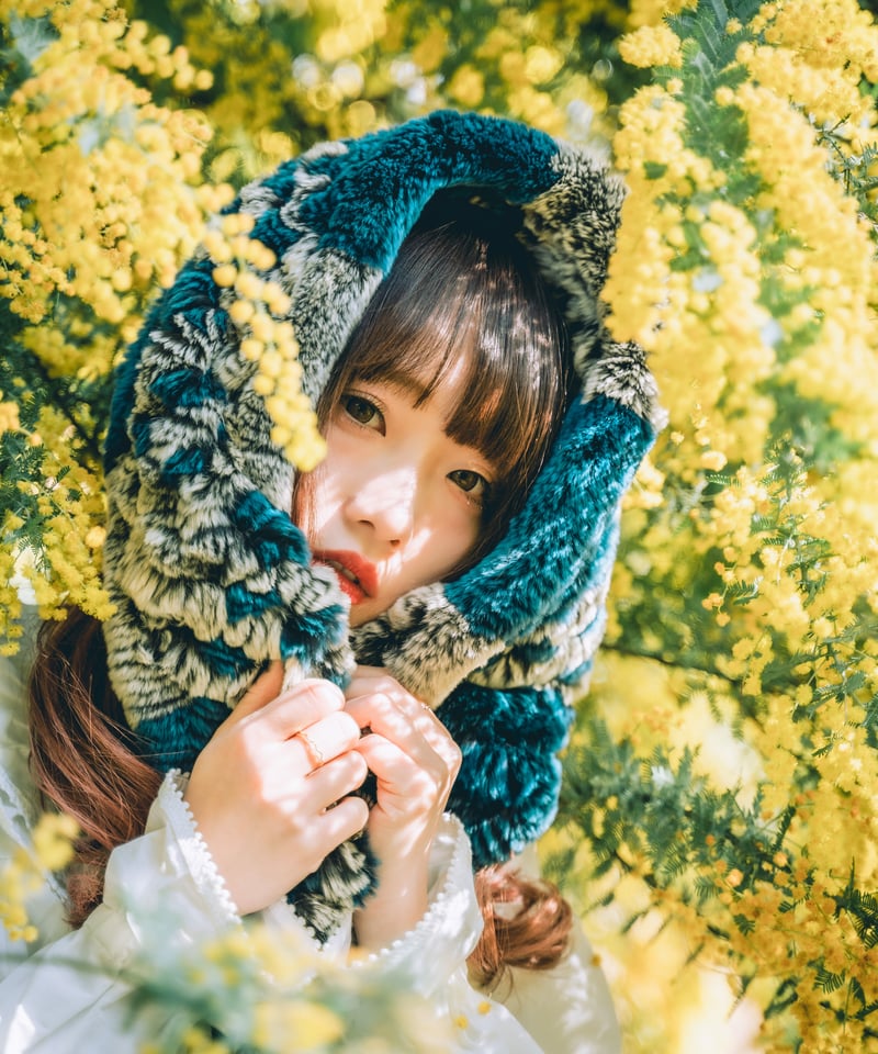 Lr Preset【Mimosa Classic】 | Mizüki's STORE